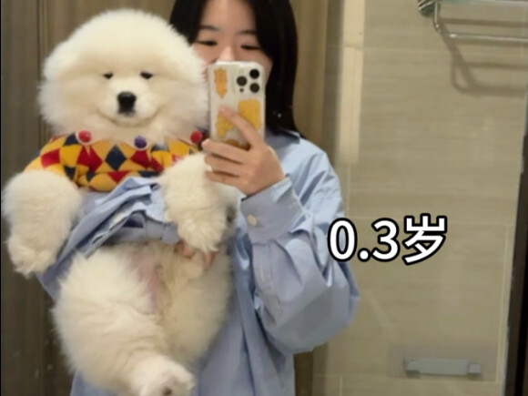 这是一条蓄谋已久的视频～