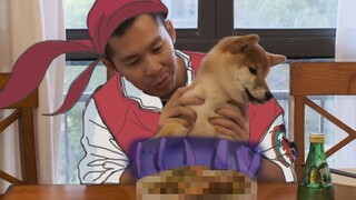 【Slog】My cooking is so delicious that even dogs want to eat it