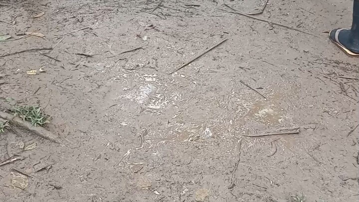 malaki na magulang vs bata na maliit