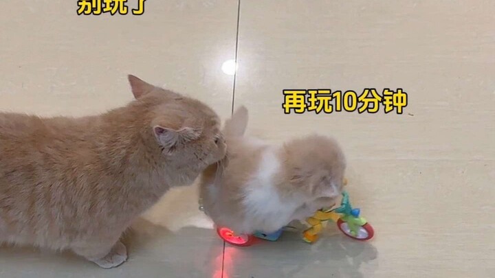 All moms want their kids to fall asleep fast—and cats are no exception!