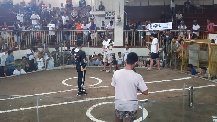 para champion 2hits February 2023