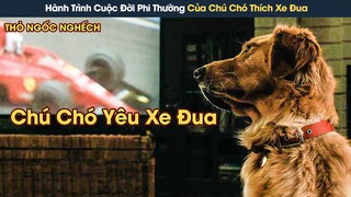 [Review Phim] Hành Trình Cuộc Đời Đầy Phi Thường Của Chú Chó Yêu Đua Xe Enzo