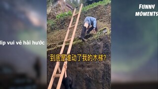 fm53-3 - clip vui vẻ hài hước