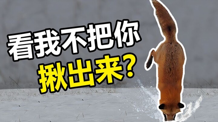 Đêm Dài Miên Man! (Phần 4)