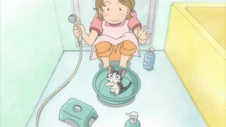 Sweet Henan Cat