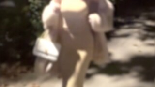 来了