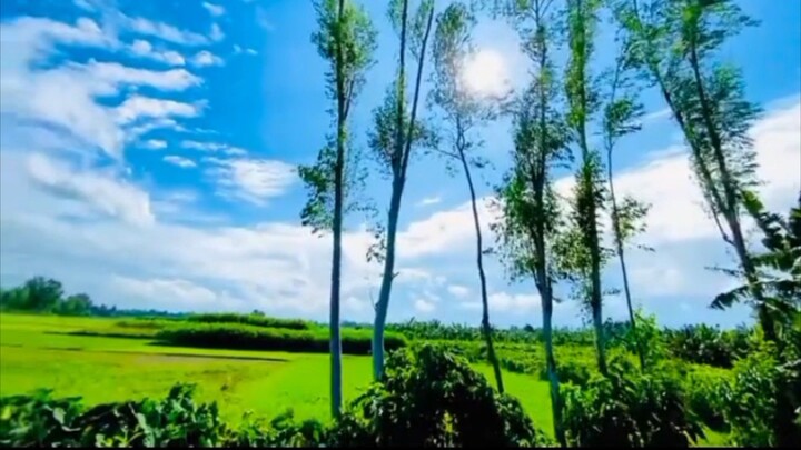 তমার ঘরে বাস করে কারা