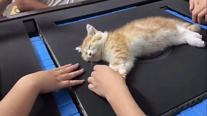 Trong hoàn cảnh thế này mà cũng ngủ được à?