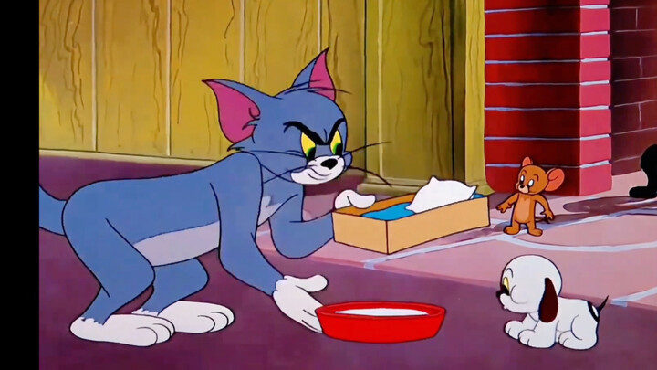 Tom chỉ là hơi ham chơi một chút thôi, thực ra nó là một chú mèo tốt.