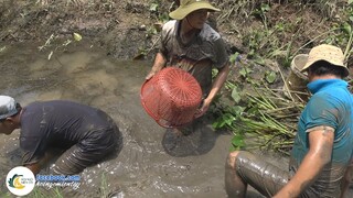 Tát Mương Bắt Ếch & Cá Lóc - Cơm Bụi Miền Quê | Hội Ngộ Miền Tây - Tập 238