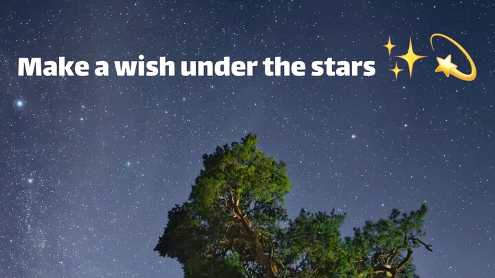 Make a wish under the stars ✨