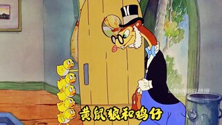 黄鼠狼趁鸡妈妈离开，到鸡窝里抓小鸡吃，却被鸡仔反克制！