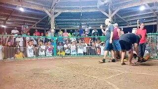Yolanda hatch JONGSWEATER WIn Derby