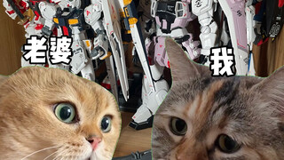 当老婆问我多少钱