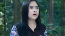 445 Ganteng Ganteng Serigala