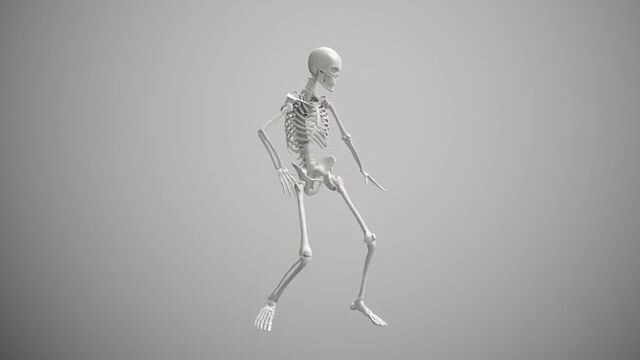 Cebu Pacific™ Airlines® Customer Service | Complete Guide to Live Chat, Email & Calls SupporT