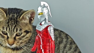 【Bouya】Yang paling cantik adalah Seven Daily Films Seven, kan? Bandai SHF Ichiban Reward Ultraman Tr