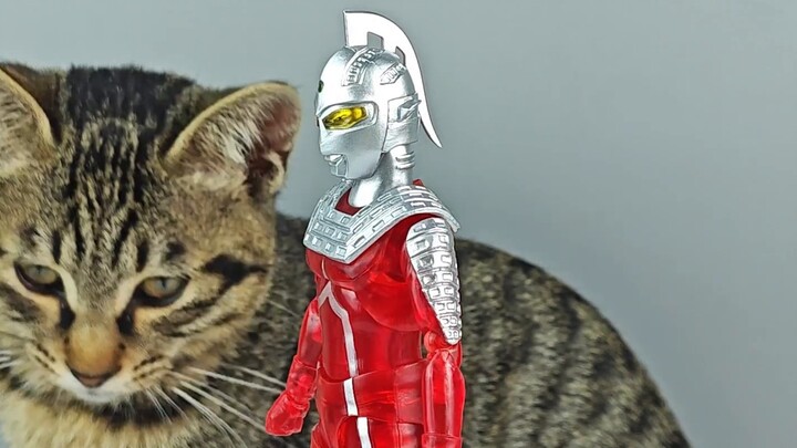 【Bouya】The best looking one is Seven's daily mask, right? Bandai SHF Ichiban-sama Ultraman Triga Ult