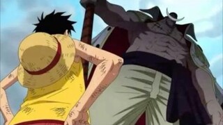 Luffy cãi râu trắng