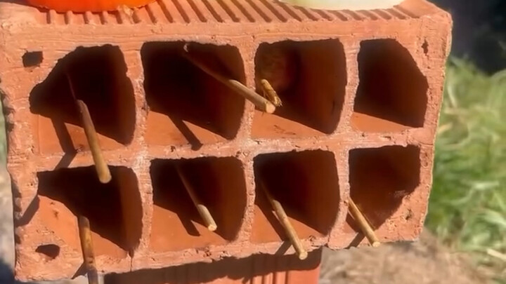 ช่วงวันชาติผ่านไปแล้ว ก็ยังแอบออกมาปาร์ตี้บาร์บีคิวเล็กๆ สักหน่อยได้นะ