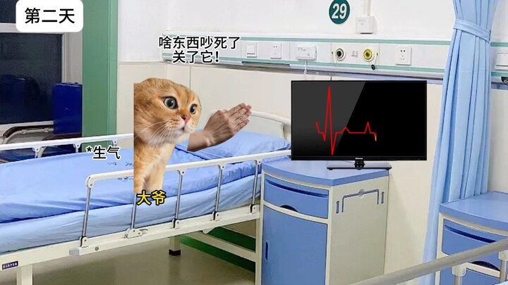 Kakek 50 kg, berjiwa pemberontak 45 kg