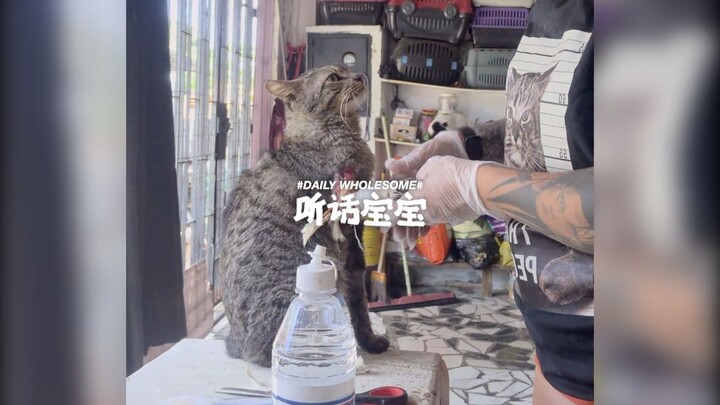 Sayang, kamu patuh sampai bikin orang kasihan