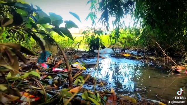 VIDEOGRAPHY FROM RIVER.BY.BUG DOWN TROOPS