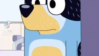 what happened to bingo