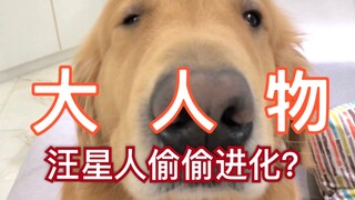 I heard dogs have been evolving for 30,000 years to win human affection? Ah Tao had a lucky encounte