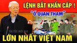 TIN CỰC NÓNG: BỘ Y TẾ NỔ LÒ " THAM QUAN NHÚNG TRÀM"TRẢ GIÁ.