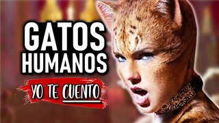 GATOS HUMANOS (Cats) en 10 Minutos | Yo te Cuento