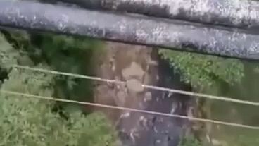 yung viral na tumalon sa tulay