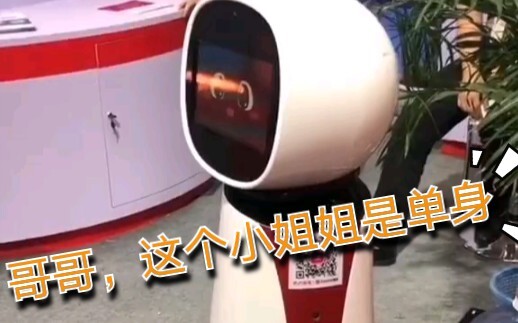 كوايباو: أخي، تعال بسرعة، هناك أخت صغيرة هنا عزباء!