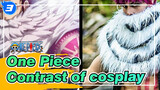 [One Piece]Contrast of cosplay!_3