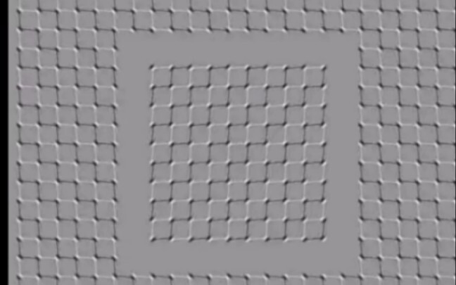 Để mọi người xem thử đồ ngon mình bắt được nè (˵¯͒〰¯͒˵)