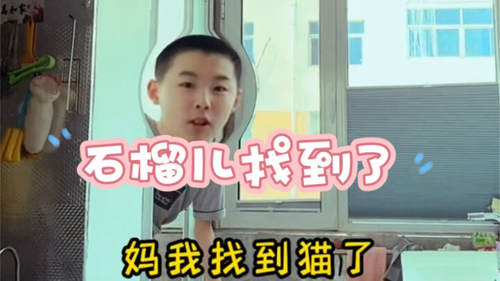 在线求助各位大神想想办法，怎么样能让猫咪出来呀？