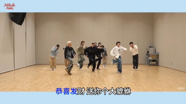 【SEVENTEEN | Fun Moment】Discussing the Compatibility Between "God of Music" and "Great Pixiu"