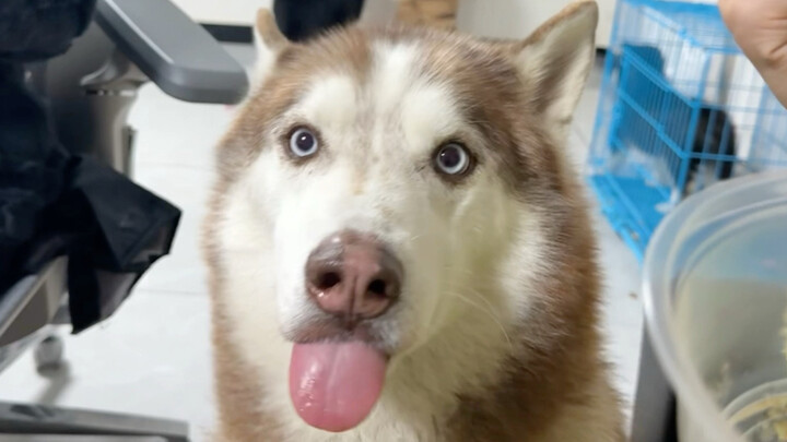 “ลูกหมาขี้งกหน่อยจะเป็นไรไป?”