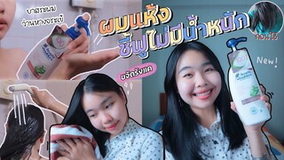 รีวิวสระผมด้วยว่านหางจระเข้ แชมพูขจัดรังแคบำรุงผมแห้งชี้ฟูไม่มีน้ำหนัก มงเรื่องผิว และผมล่ะ |ikziice