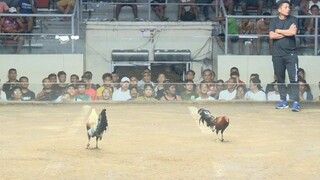 CDM 2 hits ulutan - first fight W