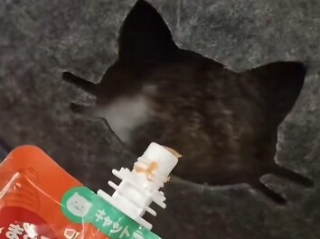 الرجاء الانتباه عند الرجوع للخلف! الانتباه عند الرجوع للخلف!