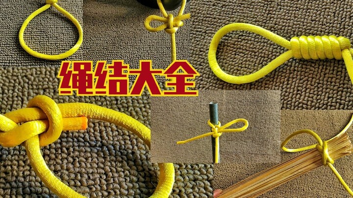 Knots: 16 Highly Practical Knots for Everyday Life — A Comprehensive Guide to Knot-Tying Techniques 