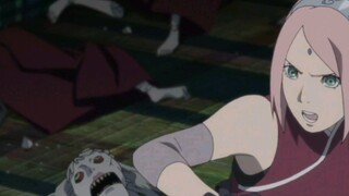 ART OF SAKURA