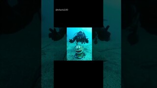 Doraemon Found😲 In Sea 🌊😱 #shorts #viral #trending #youtubeshorts #doraemon