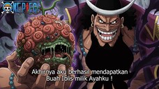 MAKIN RAME ! KUROHIGE AKHIRNYA MENDAPATKAN KEKUATAN BUAH IBLIS MILIK ROCKS D XEBEC !