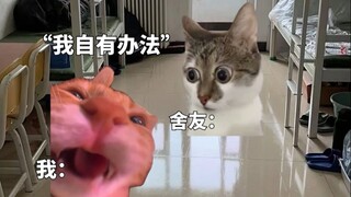 عندما لم أتمكن من الحصول على تذكرة العودة إلى المنزل