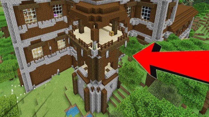 The most characteristic seeds of the year are revealed! Stuck at the outpost of the Woodland Mansion