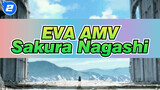 [EVA AMV] Sakura Nagashi_2