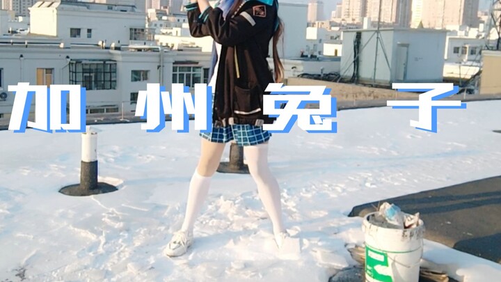 The little rabbit is not afraid of the cold, so let Dr. Hug you!