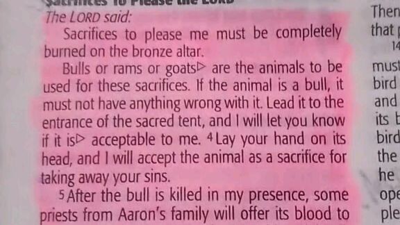 Daily Verse.        Leviticus 1:4-5